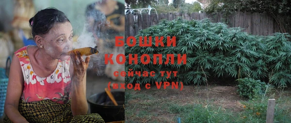 каннабис Белокуриха