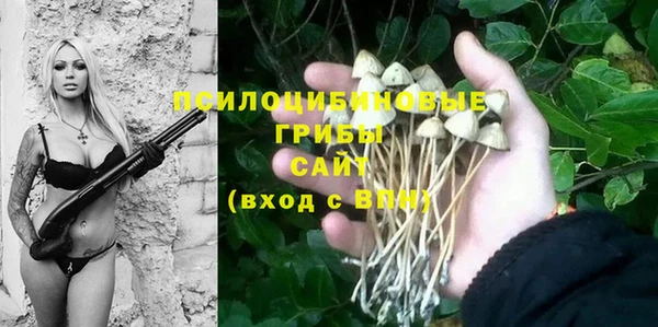 крисы Беломорск