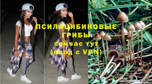 каннабис Белокуриха