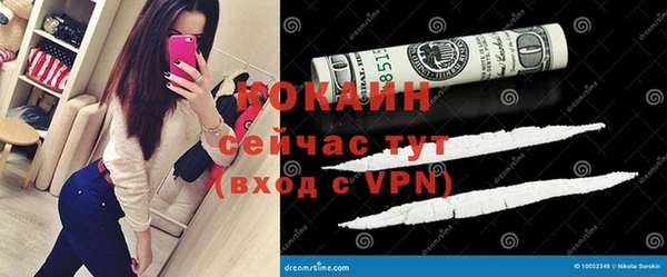 индика Сосновка