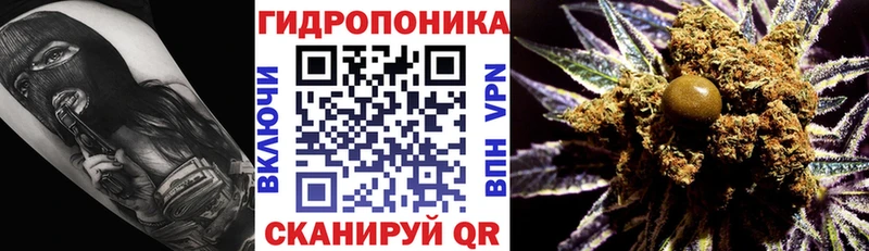 Бошки Шишки ГИДРОПОН  Макаров 